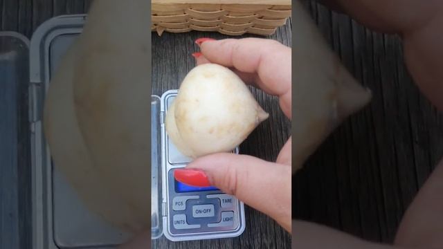 ПРЕИМУЩЕСТВА ЧЕСНОКА МЕДВЕЖИЙ КОГОТЬ ВАЦАП ДЛЯ ЗАКАЗА 89152458159 ПИСЬМЕННО смотреть онлайн