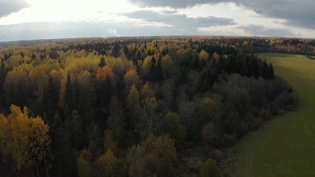 Вальс осени смотреть онлайн