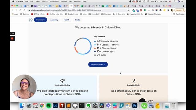 A Doodle's Shocking Dog DNA Test Results from Embark AND Wisdom Panel...Scammed by a Doodle Breeder смотреть онлайн