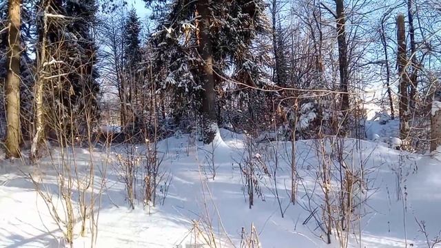 F150 B2021 ЗАМОРОЗИЛИ. ТЕСТ на ЖИВУЧЕСТЬ. смотреть онлайн