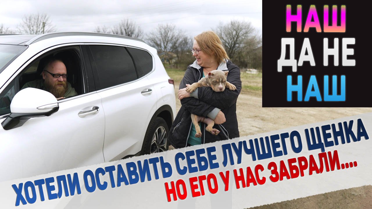 Почему мы отдали щенка, которого хотели оставить себе? смотреть онлайн