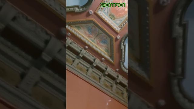 Уникальное здание пострадало. Одесса. Дом ученых. Усадьба Толстых. Новости Одессы. Сегодня. #зоотро