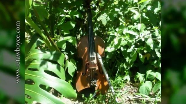 Celtic Violin - Down By The Sally Gardens - Strings, Harp And Tin Whistle
