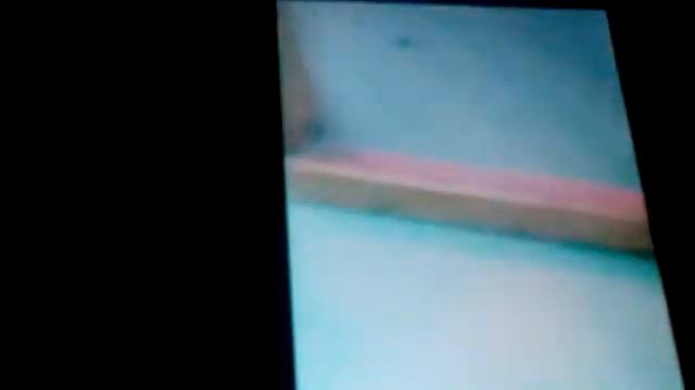 Поход в Ручной Зоопарк смотреть онлайн