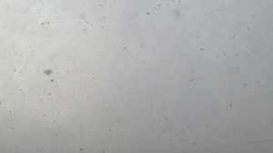 HEAVY SNOWSTORM BLIZZARD Успокаивающий ШУМ ВЕТРА ЗВУКИ ВЬЮГИ | Расслабляющая СИЛЬНАЯ МЕТЕЛЬ | ПУРГА