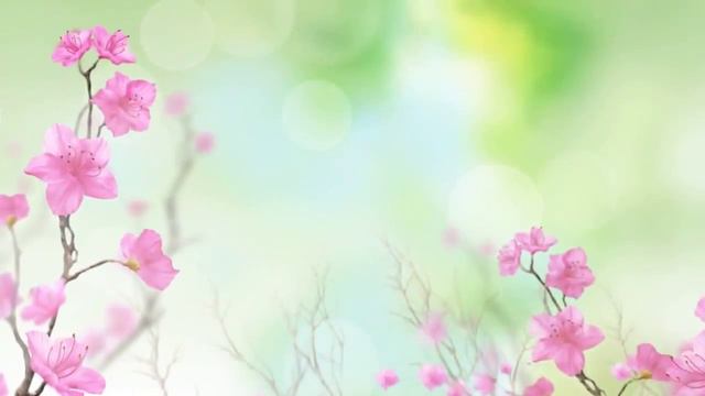 Цветочный фон - Floral background смотреть онлайн