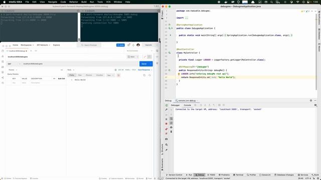 Java remote debugging demo смотреть онлайн