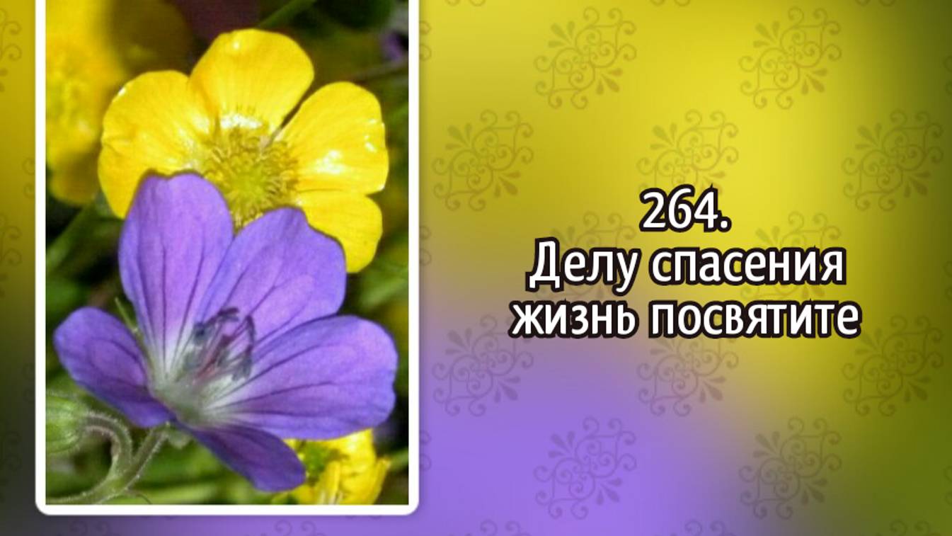 Гимны надежды 264 Делу спасения жизнь посвятите (-) смотреть онлайн