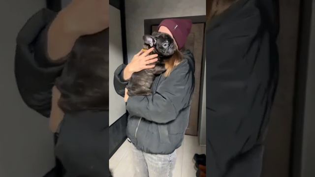 Наш тигровый мальчик нашел свою самую любящую семью!!!! Счастья малышу!!! смотреть онлайн