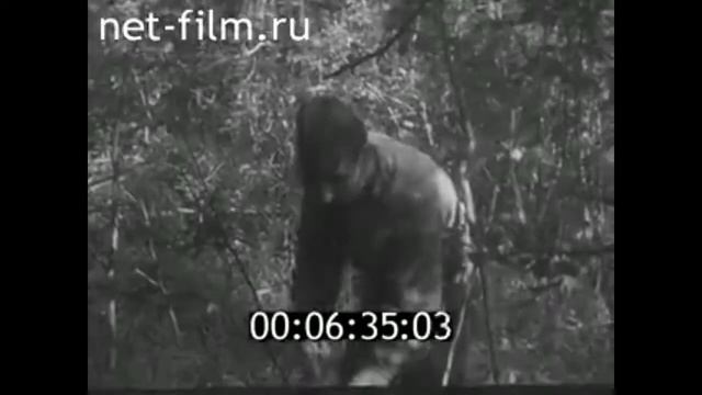 1965г. Ржев. обезвреживание мин. Калининская обл смотреть онлайн