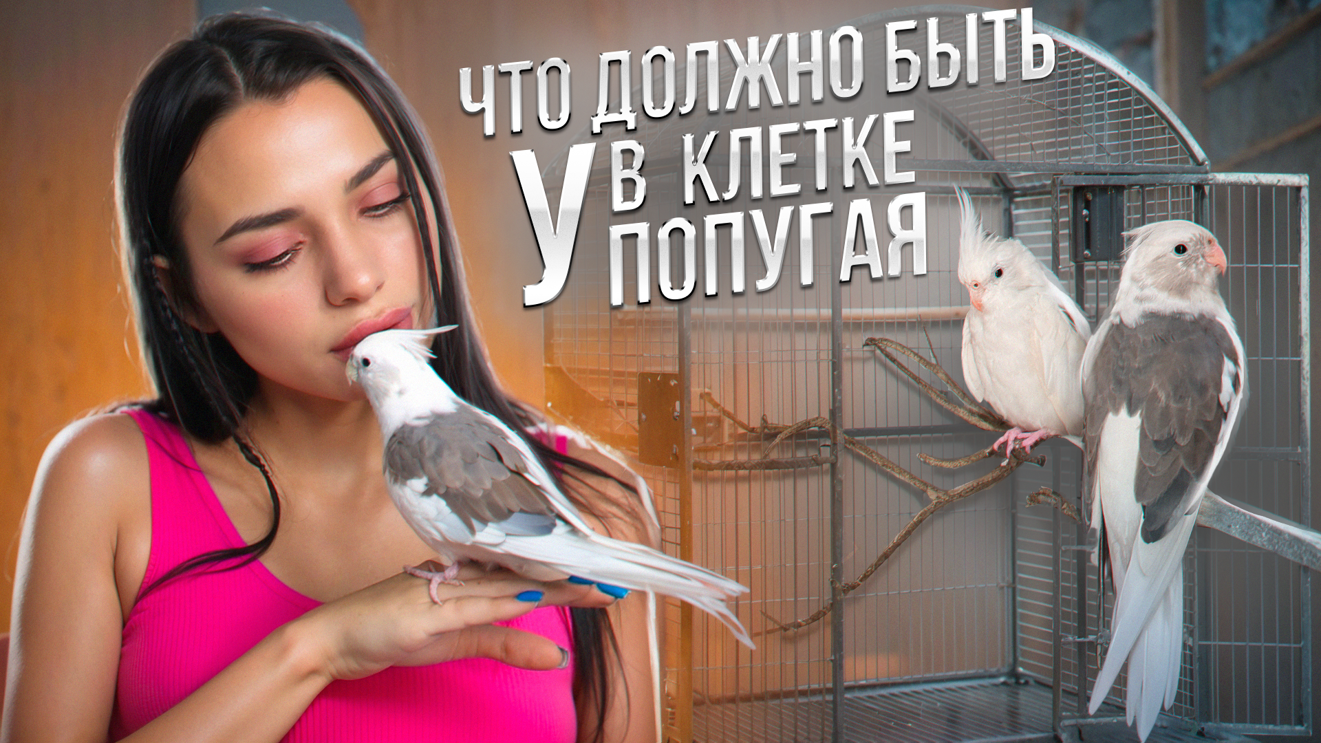 ЧТО ДОЛЖНО БЫТЬ В КЛЕТКЕ У ПОПУГАЯ смотреть онлайн