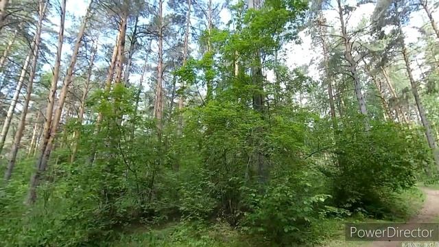 Заброшенная турбаза Импульс. Комната умерших душ смотреть онлайн