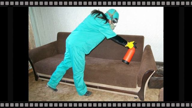 Как избавится от блох дома-личный опыт. Лучшее средство от блох смотреть онлайн