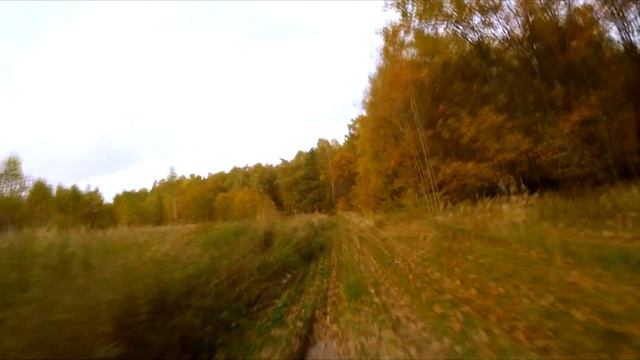 Тренировка смотреть онлайн