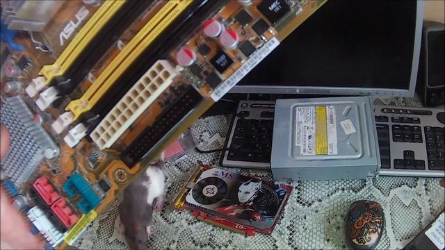 Обзор материнской платы asus p5k vm смотреть онлайн