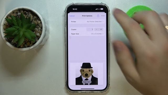 How to Convert Picture to PDF on the iPhone 14 Series Device - Plus / Pro / Pro Max смотреть онлайн