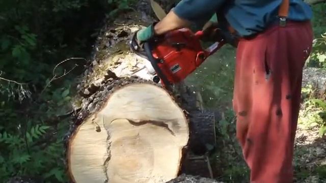 SOLO 681 CHAINSAW смотреть онлайн