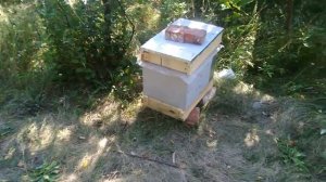 Как выбрать улей для пчеловодства. Лежак и дадан на 10-8 рамок