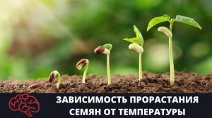 Семя  Зависимость прорастания семян от температуры Опыт