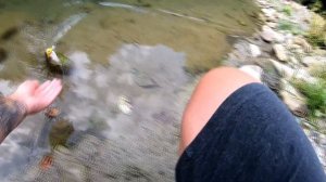 Эти воблеры КОСЯТ! Мой ТОП-8 воблеров на голавля 2020