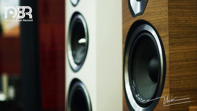 Greatest Audiophile Music 32 Bit - Audiophile NBR Music