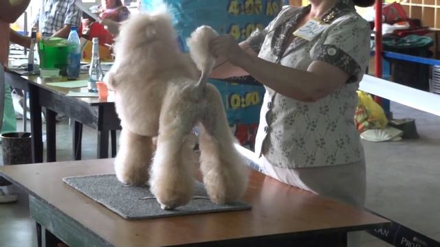 "ХАМАР-ДАБАН - 2013" -ЧРКФ 17.08.13 ЕГИПЕТСКАЯ ЦАРИЦА смотреть онлайн