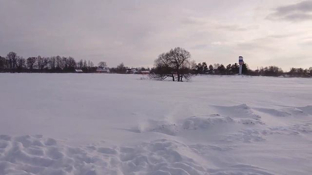 ПЕРЕГОНЯЕМ ДВУХ - ТРЁХДНЕВНЫХ ТЕЛЯТ С МАМКАМИ В ОСНОВНОЕ СТАДО кфх Дик. НАВЕЩАЕМ ДВОЙНЯШЕК! смотреть онлайн