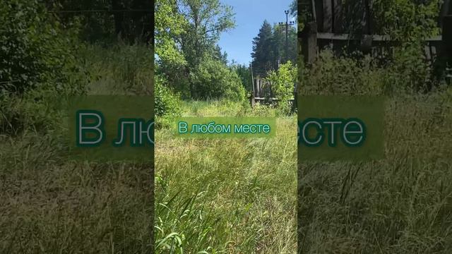 Подписывайтесь на наш канал! У нас много полезного и интересного! #нейрографика #псмхологич смотреть онлайн