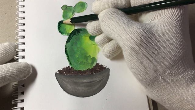 How To Draw Cactus ( 仙人掌 ）/secret garden #3/ watercolor+color pencil / Step By Step смотреть онлайн
