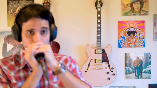 You Are My Sunshine ☀️ - Harmonica смотреть онлайн