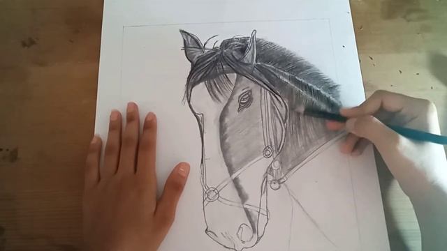 Horse Sketch || Limitless Art смотреть онлайн