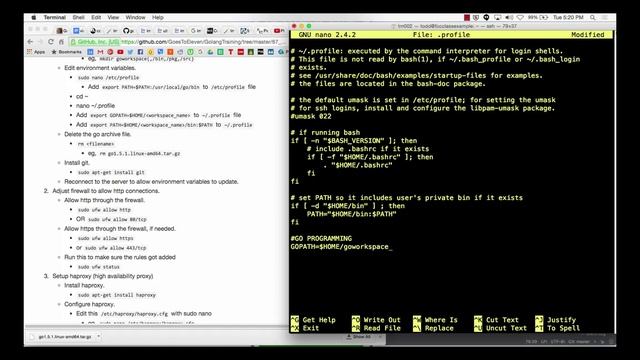Golang Linux смотреть онлайн