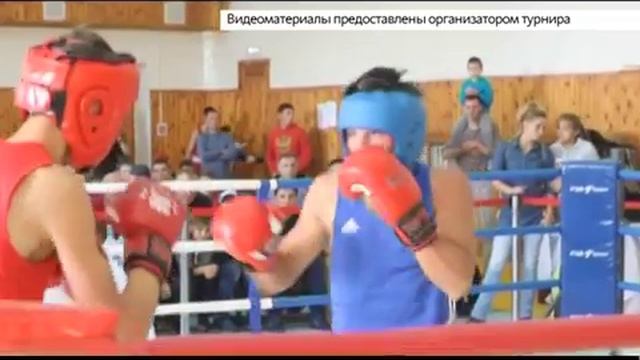 Алтайские спортсмены завоевали 25 первых мест на турнире по боксу памяти Валерия Осинцева смотреть онлайн