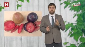 Шарафуга |ПРО ЦВЕТ