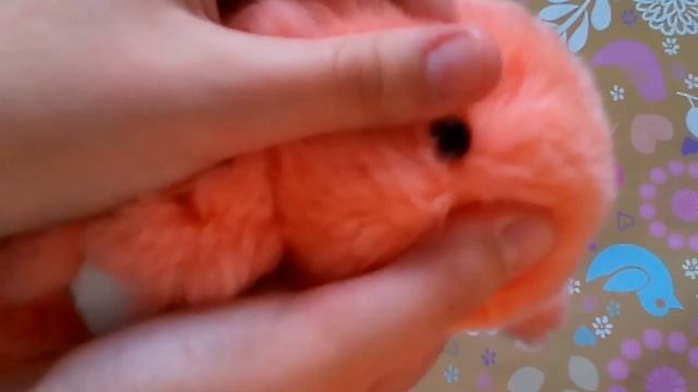 Как отличить подделку от оригинала?/Кролик/[Аня Мэй] смотреть онлайн