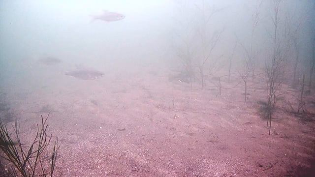 Большое озеро видео 5 смотреть онлайн