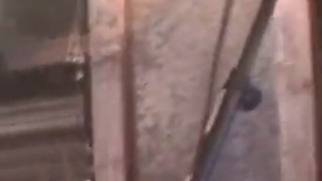 Strange Brew - Someday After a While смотреть онлайн