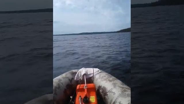Флинк 320 НДНД один человек смотреть онлайн