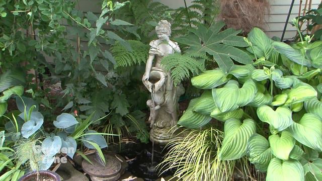 Garden Time show 19 7-7-18 смотреть онлайн