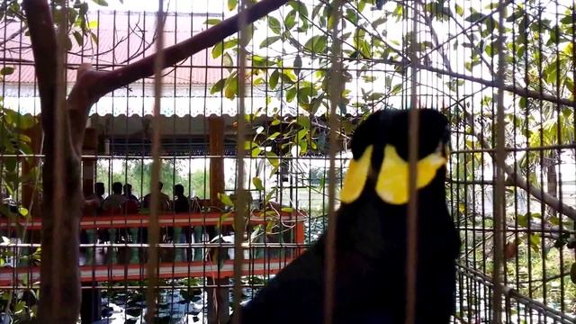 Asian Travel - Svay Rieng & Prey Veng Trip - Rural Food Tasting - (FULL)