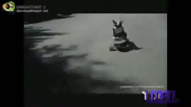 Смотреть видео приколы про животных смотреть онлайн