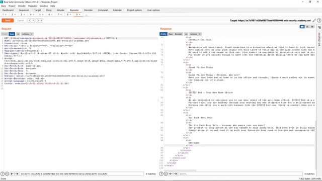 SQL injection UNION attack, retrieving data from other tables смотреть онлайн