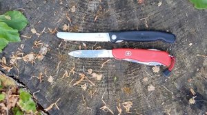 обзор, сравнение Victorinox складной кухонный нож. Кухонный набор 6.7191.F3