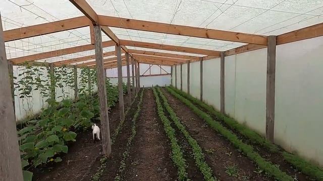 ОБЗОР ДОМА ЗА 3 600 000 КРАСНОДАРСКИЙ КРАЙ КРЫМСКИЙ РАЙОН / ПОДБОР НЕДВИЖИМОСТИ смотреть онлайн