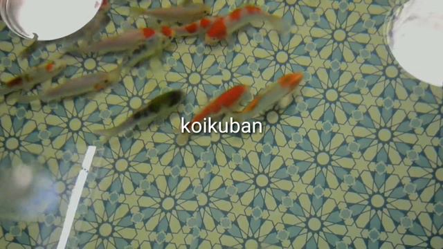 Сезон 2021 открыт. Есть разная рыбка смотреть онлайн