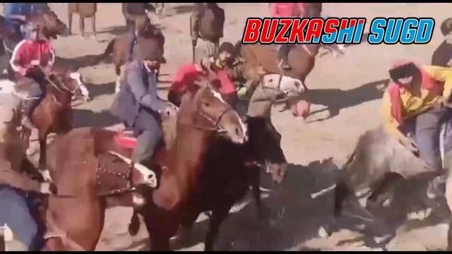 ТОП-5 Марахои Исмат пахлавон дар Бузкаши ПАНЧАКЕНТ 2023 -_- BUZKASHI SUGD PANJAKENT ISMAT JOVANDOZ смотреть онлайн