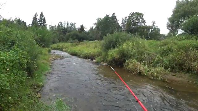 Осень на реке с НОЧЁВКАМИ, отменный клёв, ДОНКИ, спиннинг. ВИМБА, ЩУКА. Готовим УХУ на костре. смотреть онлайн