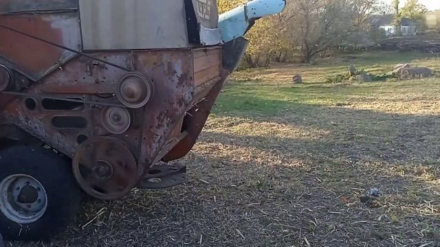 Обмолот початков кукурузы смотреть онлайн