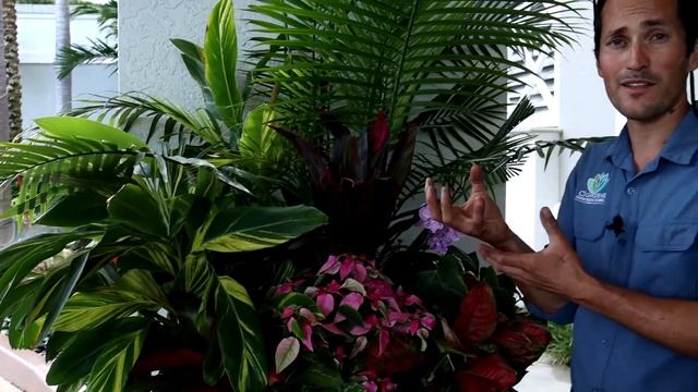 Adding a Unique Bromeliad Garden~ смотреть онлайн