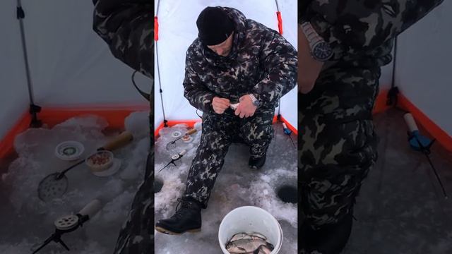 видео - рыбалка на Селигере в Екатерининской Слободе смотреть онлайн